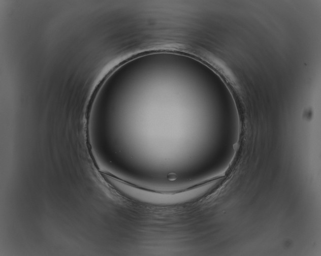 X0000091231332200708231646