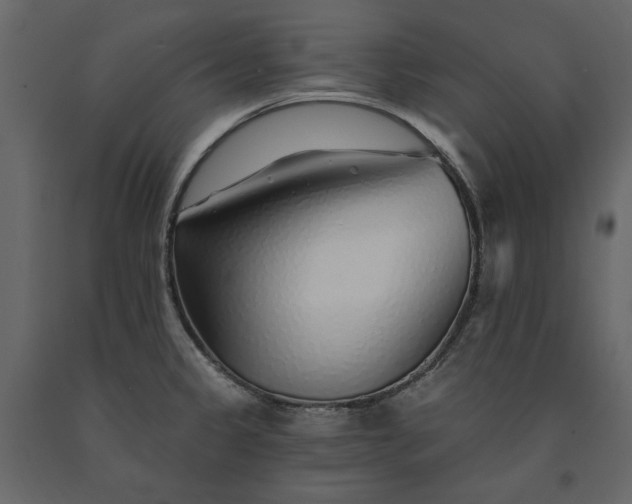 X0000091231333200708231646