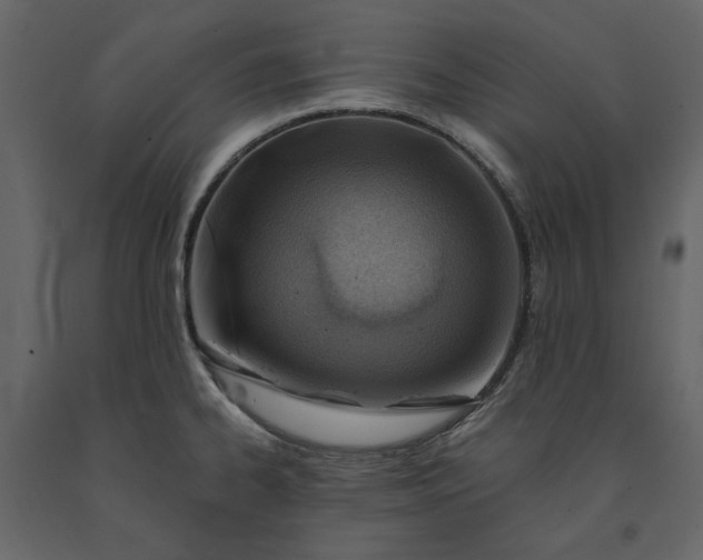 X0000091231334200708231646