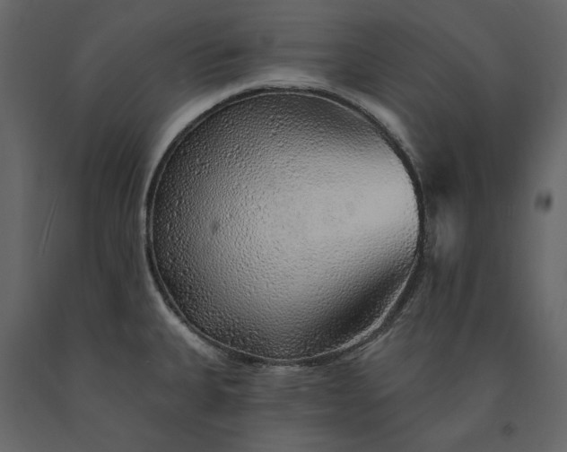 X0000091231335200708231646