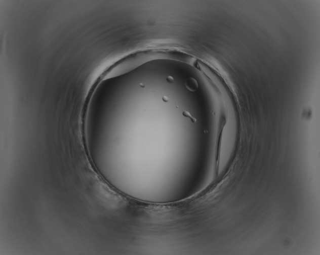 X0000091231336200708231646