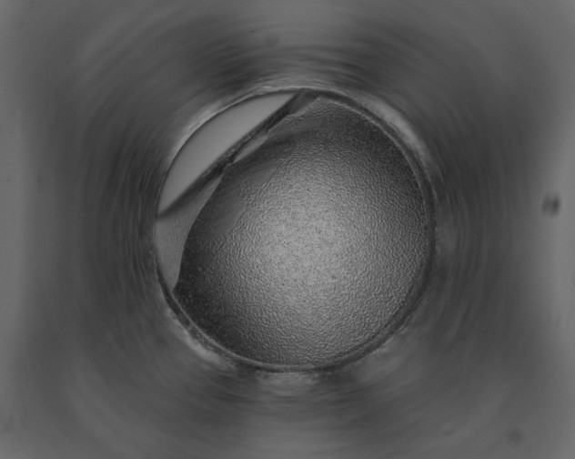 X0000091231337200708231646