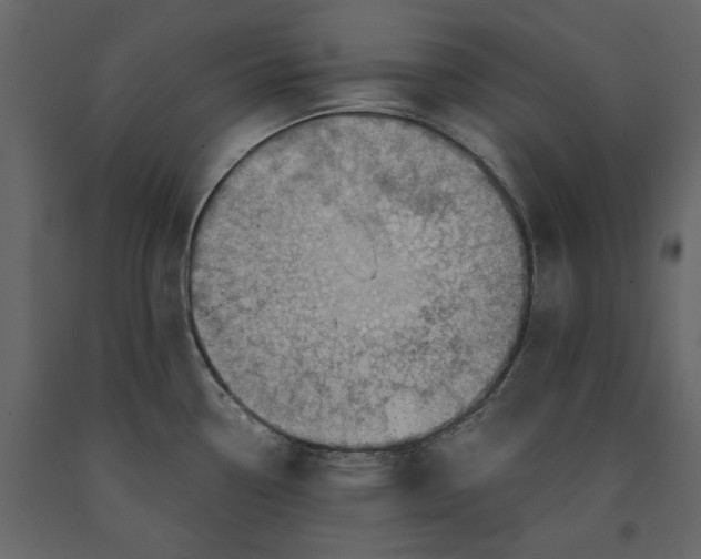 X0000091231338200708231646
