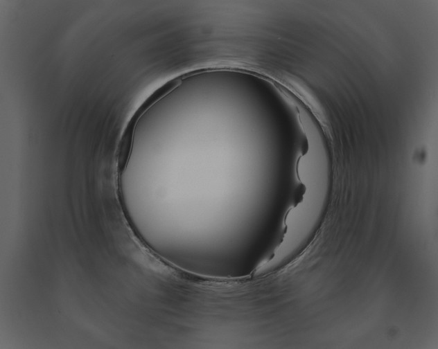 X0000091231340200708231646