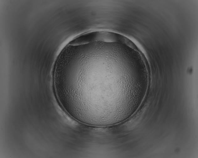 X0000091231341200708231646