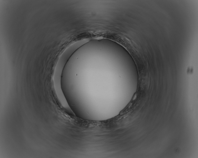 X0000091231345200708231645