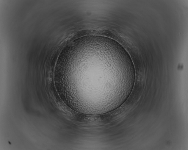 X0000091231346200708231645