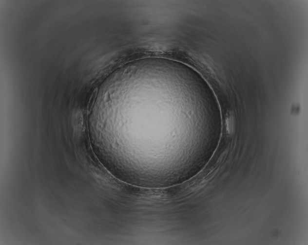 X0000091231347200708231645