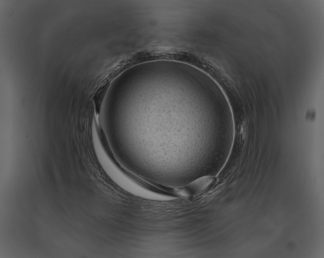 X0000091231348200708231645