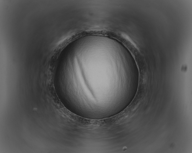 X0000091231350200708231645