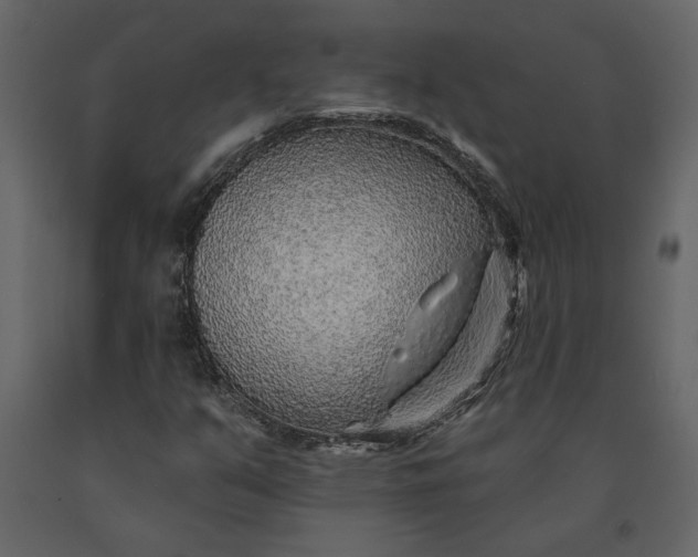 X0000091231351200708231645