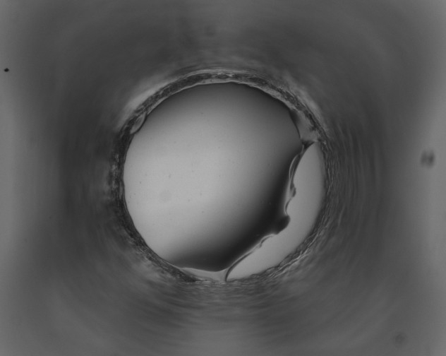 X0000091231352200708231645