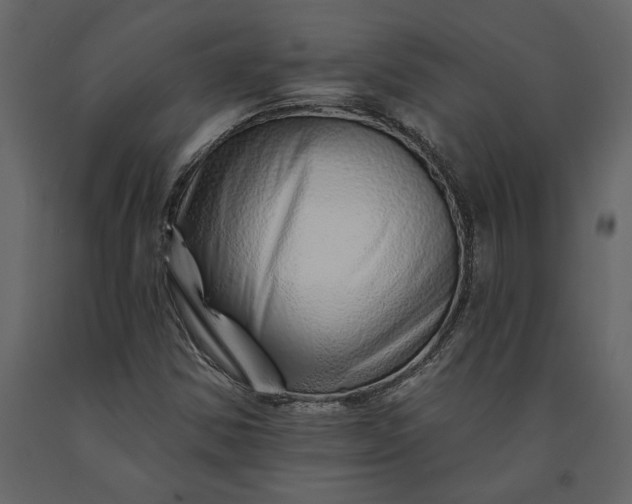 X0000091231354200708231645