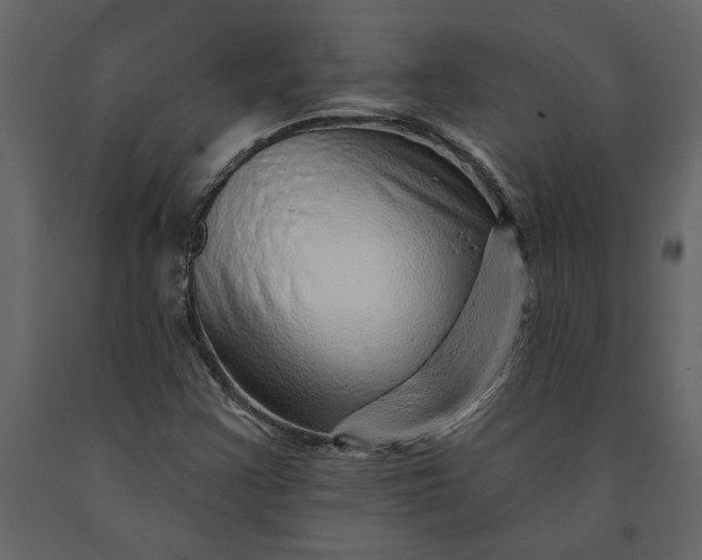 X0000091231355200708231645