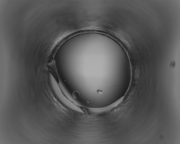 X0000091231356200708231645