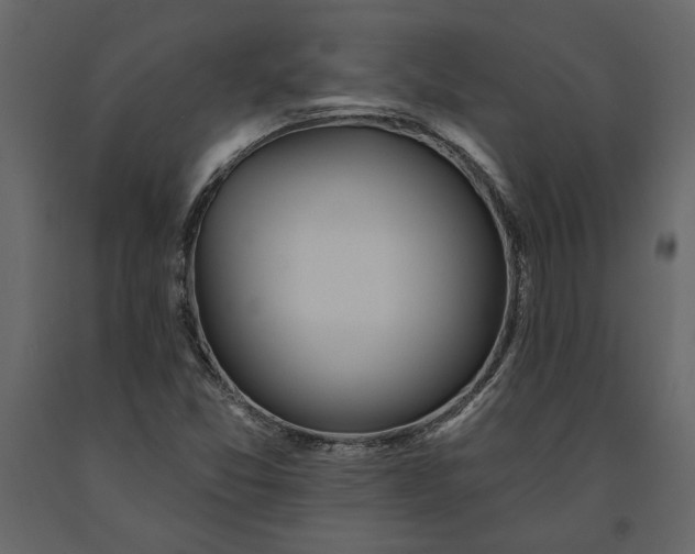 X0000091231357200708231645