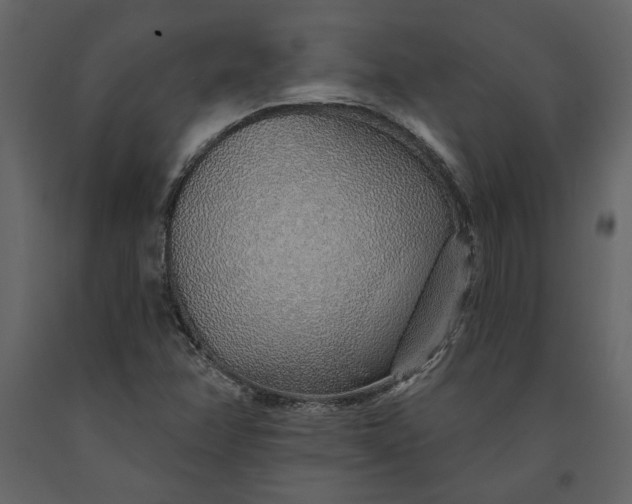 X0000091231358200708231645
