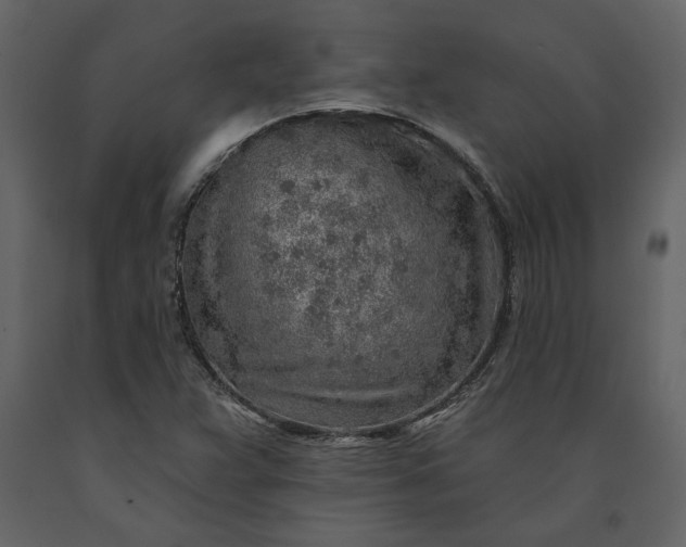 X0000091231359200708231645
