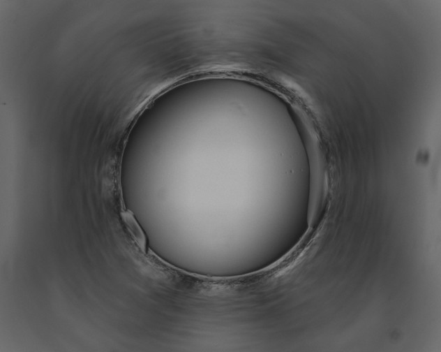 X0000091231361200708231645