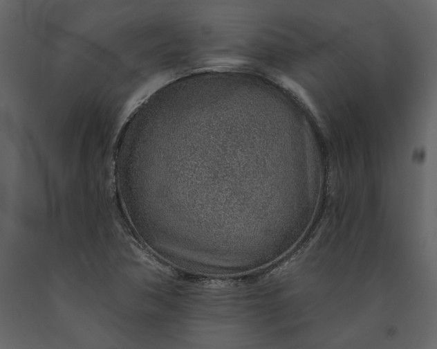 X0000091231362200708231645
