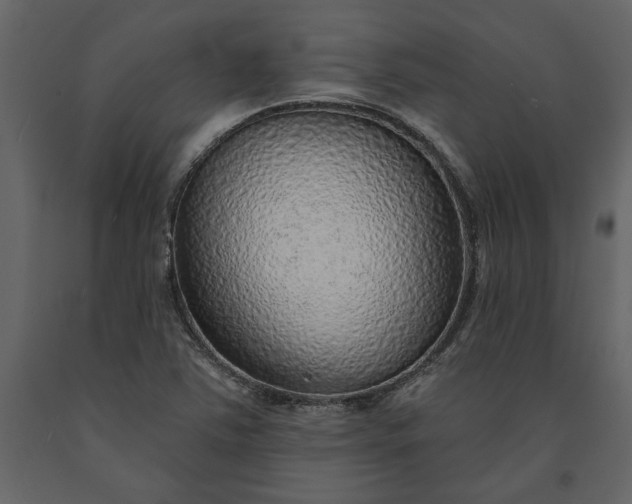 X0000091231363200708231645