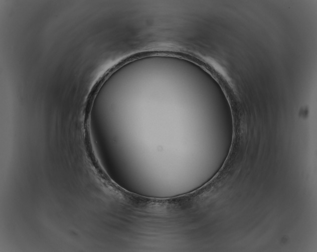 X0000091231364200708231645