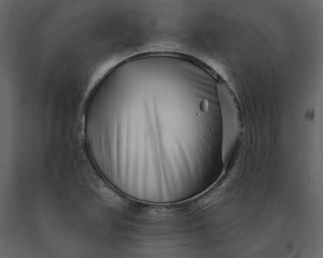 X0000091231366200708231645