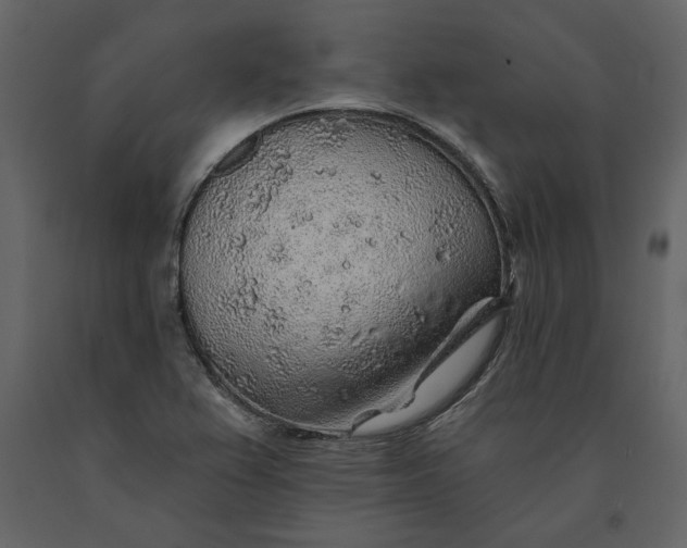 X0000091231367200708231645