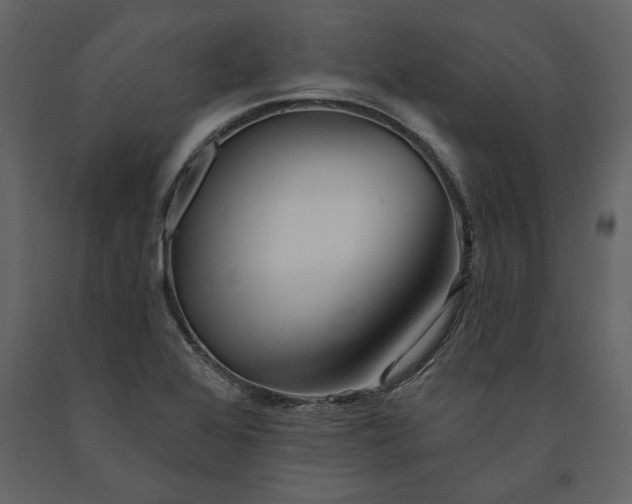 X0000091231368200708231645