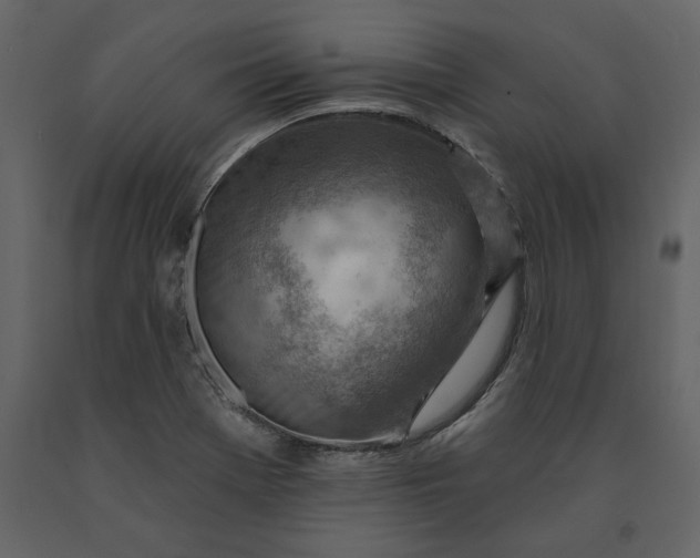 X0000091231369200708231645