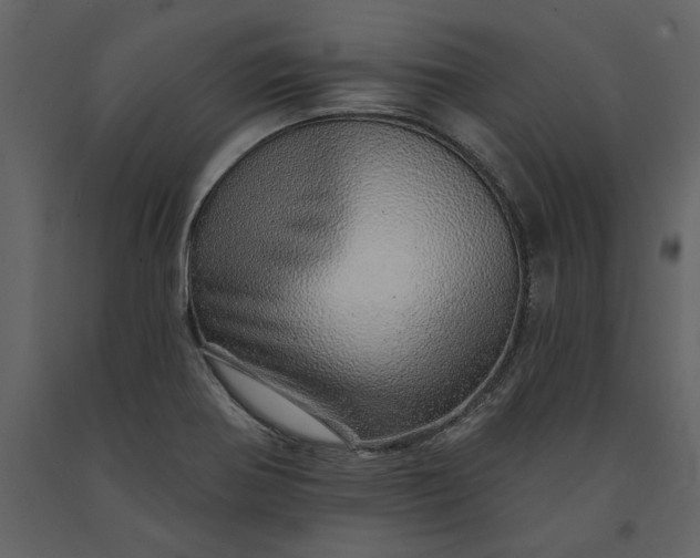 X0000091231370200708231645