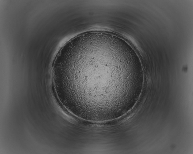 X0000091231371200708231645