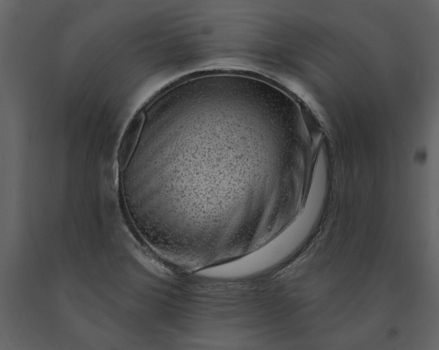 X0000091231372200708231645