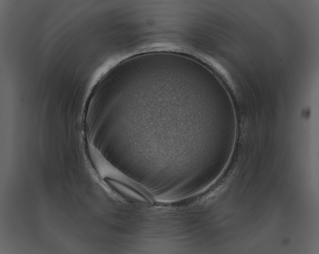 X0000091231373200708231645