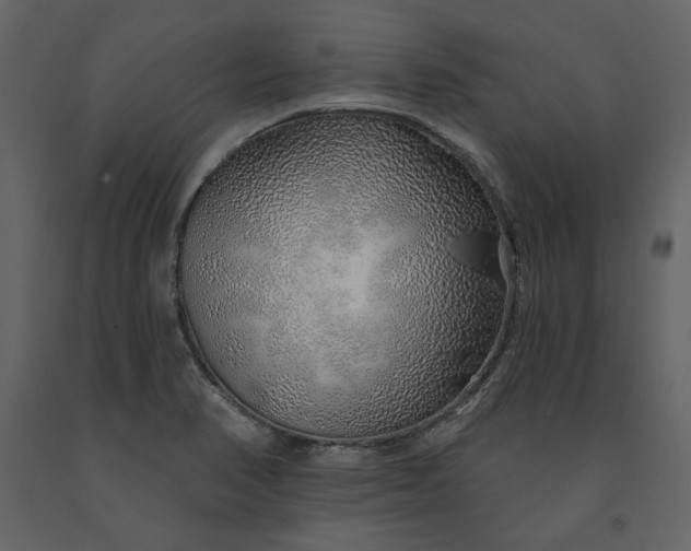 X0000091231374200708231645