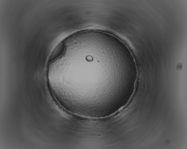 X0000091231375200708231645