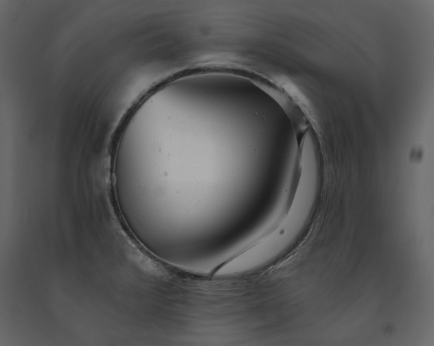 X0000091231376200708231645