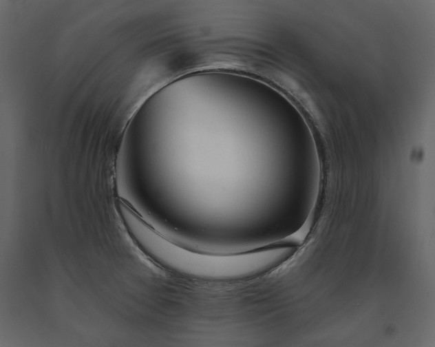 X0000091231377200708231645