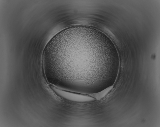X0000091231378200708231645