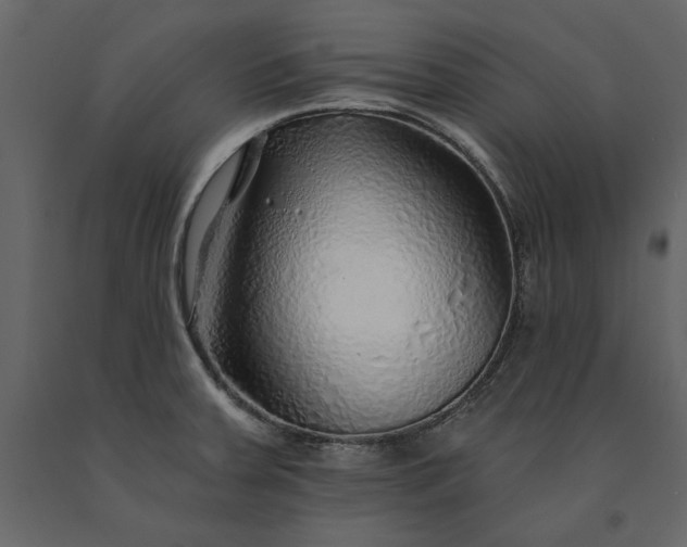 X0000091231379200708231645