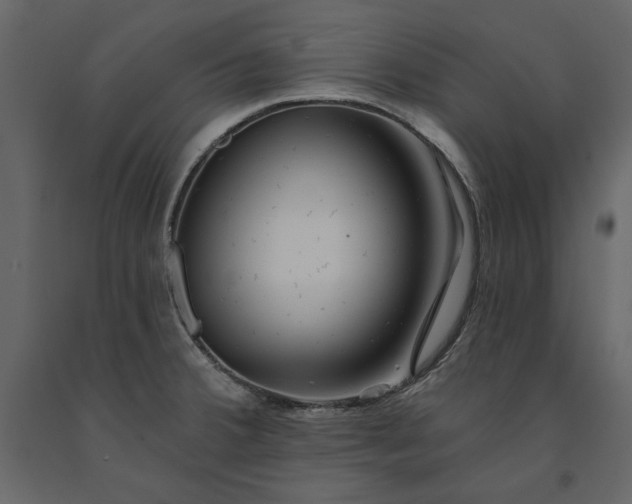 X0000091231380200708231645