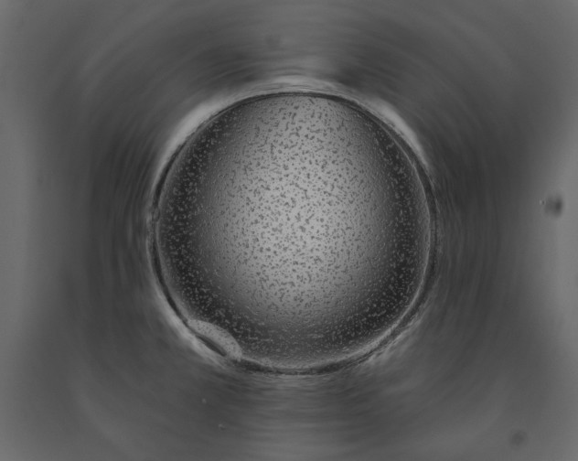 X0000091231381200708231645