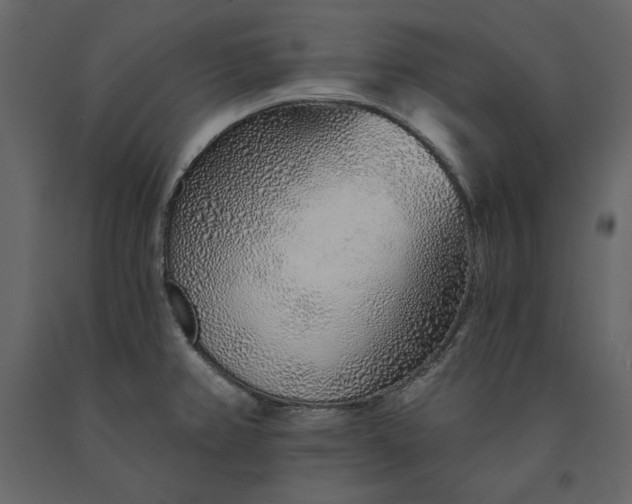 X0000091231382200708231645