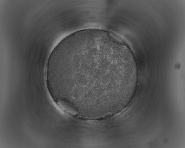 X0000091231383200708231645