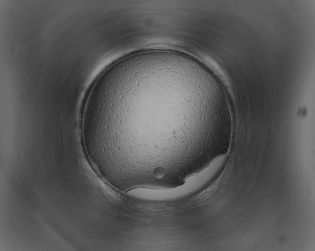 X0000091231384200708231645