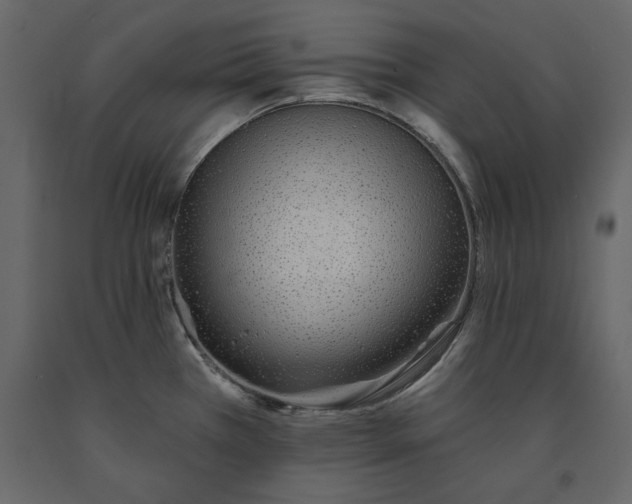 X0000091231385200708231645
