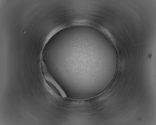 X0000091231386200708231645