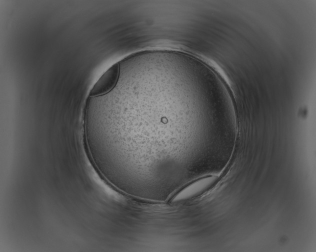 X0000091231387200708231645