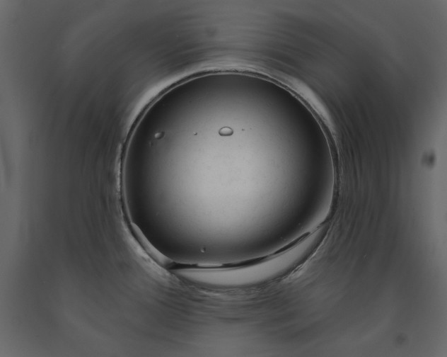 X0000091231388200708231645