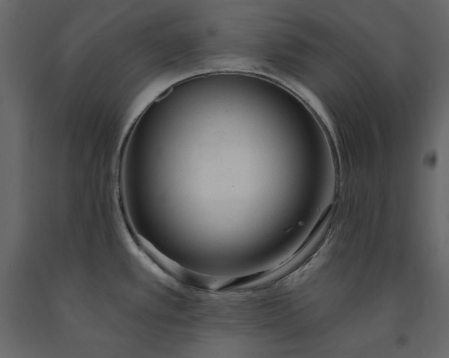 X0000091231389200708231645